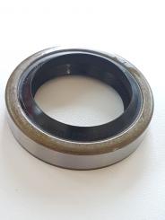 Dichtring Getriebeendstück P1/P2 